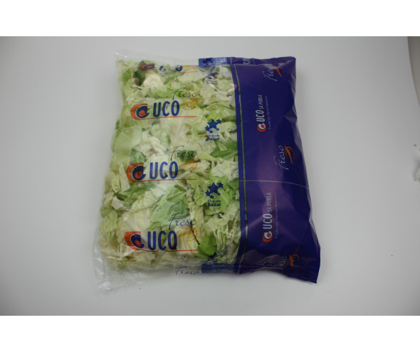 Lechuga Iceberg 9 mm