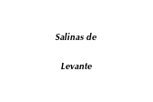 Salinas de Levante